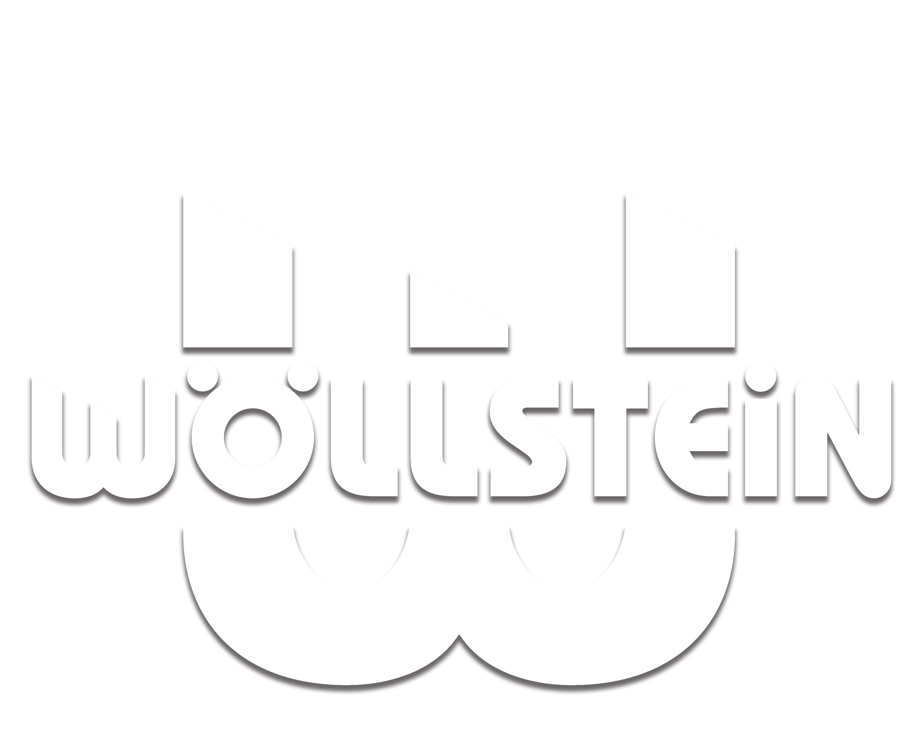 Wöllsstein Stanzformen für Etiketten Produktion